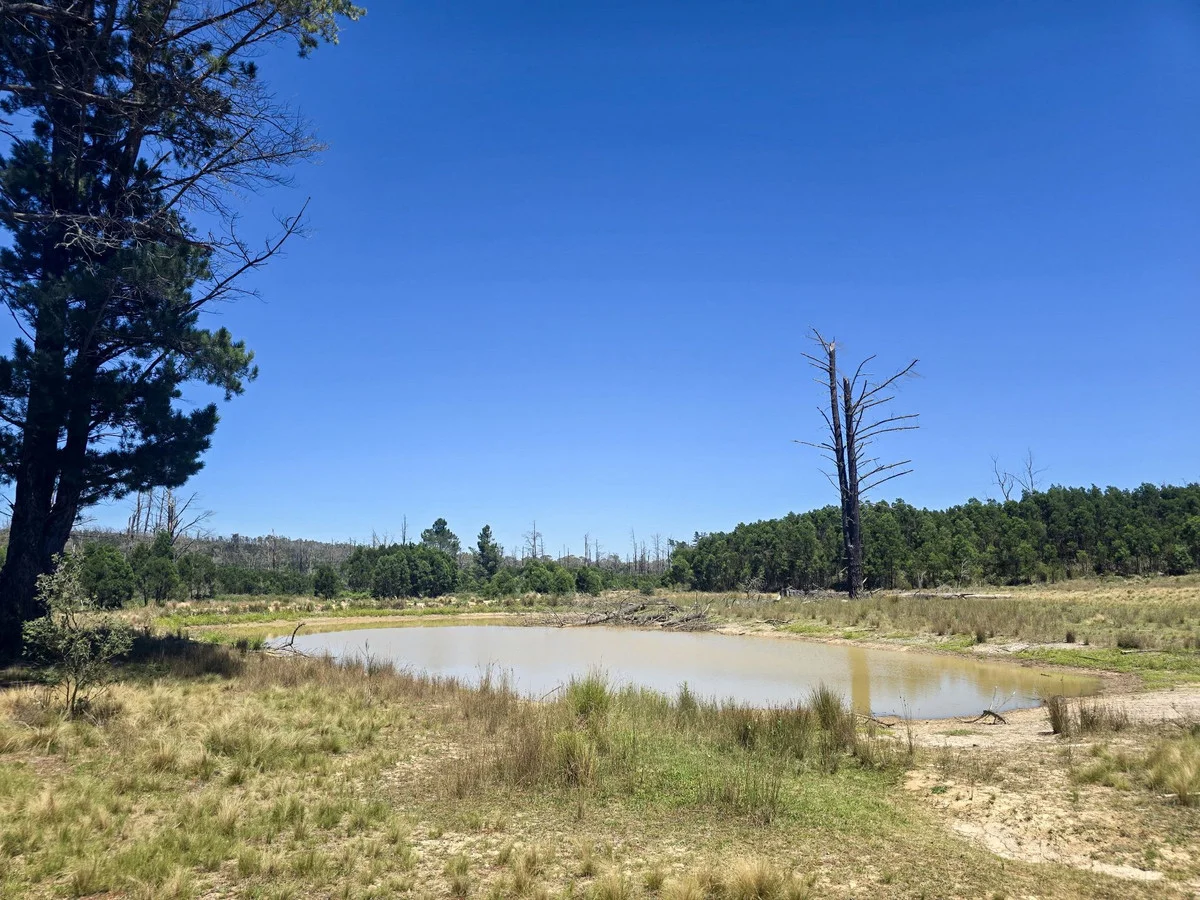 Additional image 12 of 8422 Nerriga Road, Tomboye NSW 2622