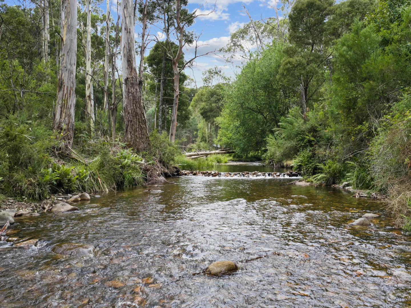 Additional image 16 of 2633 Mt Buller Road, Merrijig VIC 3723