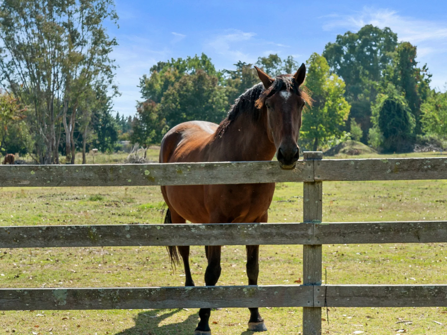 Additional image 21 of 8 Anna Lane, Myrtleford VIC 3737