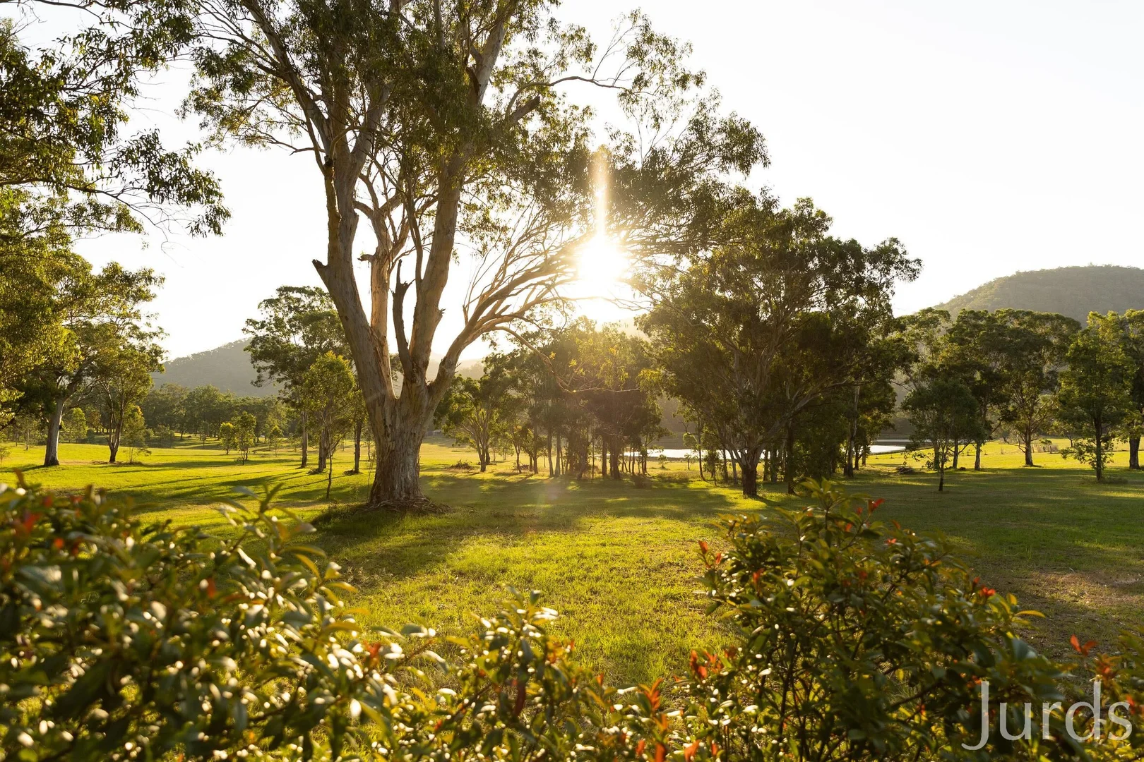Additional image 37 of 1066 Wollombi Road, Broke NSW 2330