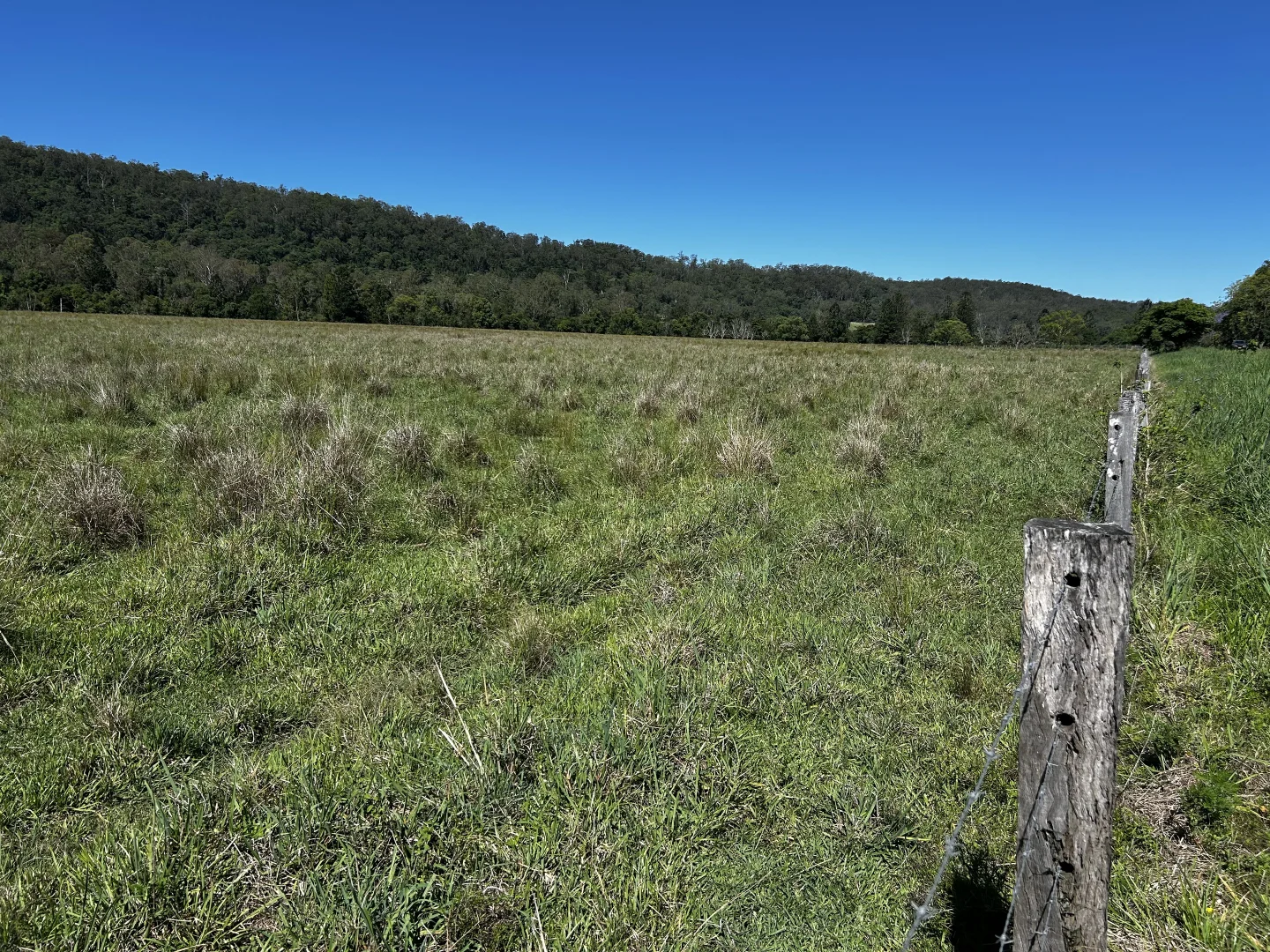 Additional image 21 of 504 Jiggi Road, Jiggi NSW 2480