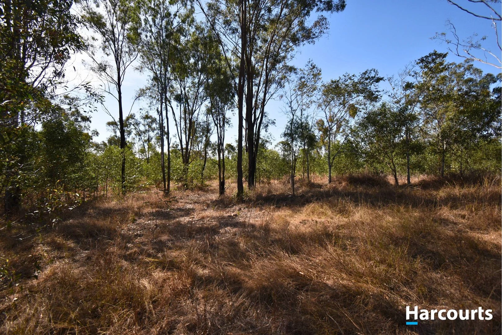 Additional image 7 of Lot 18 Horsecamp Road, Horse Camp QLD 4671