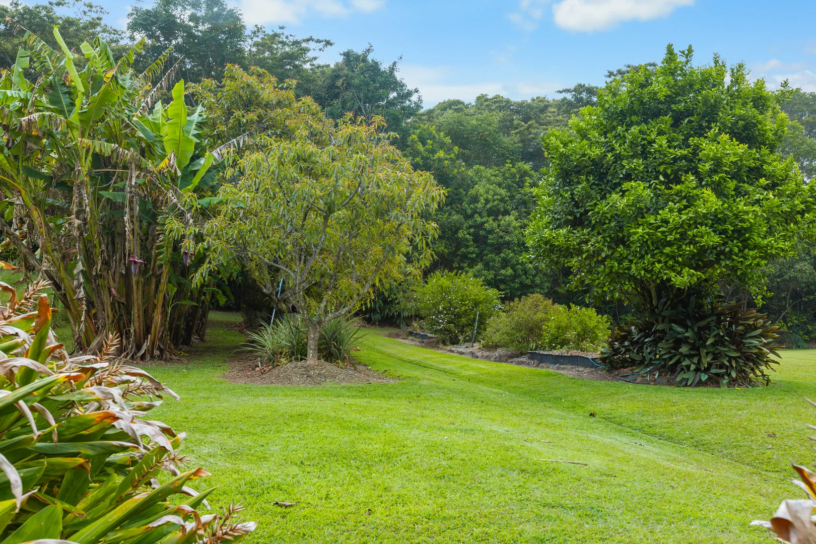 Additional image 6 of 10524 Kennedy Highway, Upper Barron QLD 4883