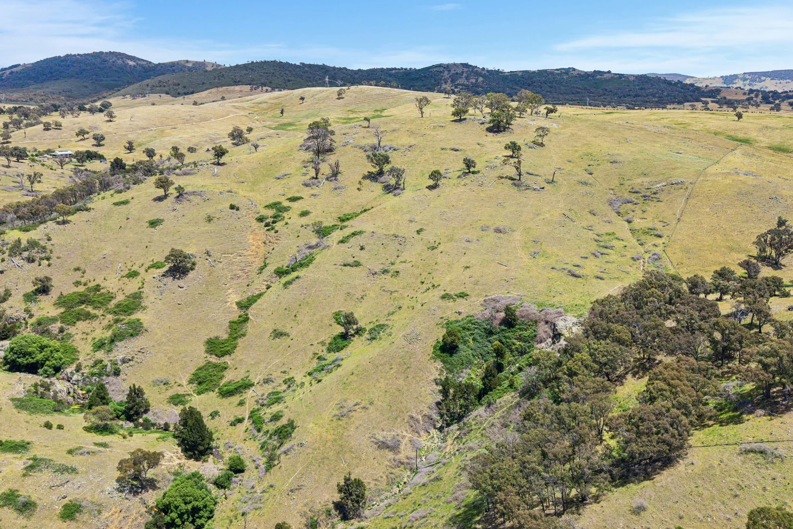 Additional image 19 of Lot 1/414 Horseshoe Rd, Mullion NSW 2582