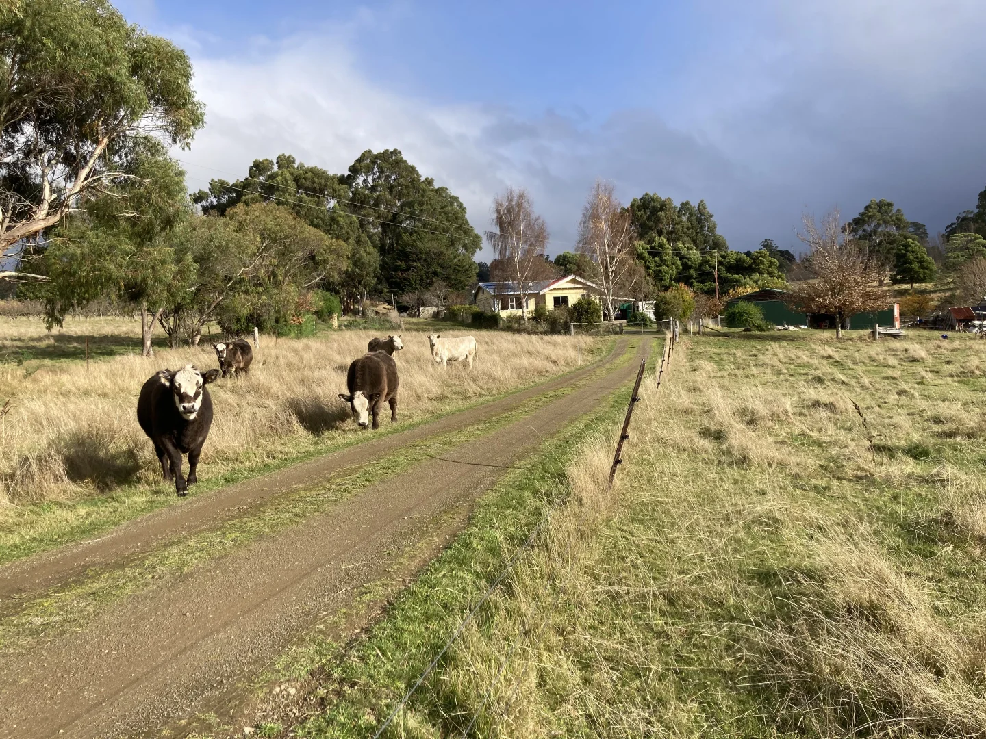 Additional image 6 of 59 Chittys Road, Franklin TAS 7113