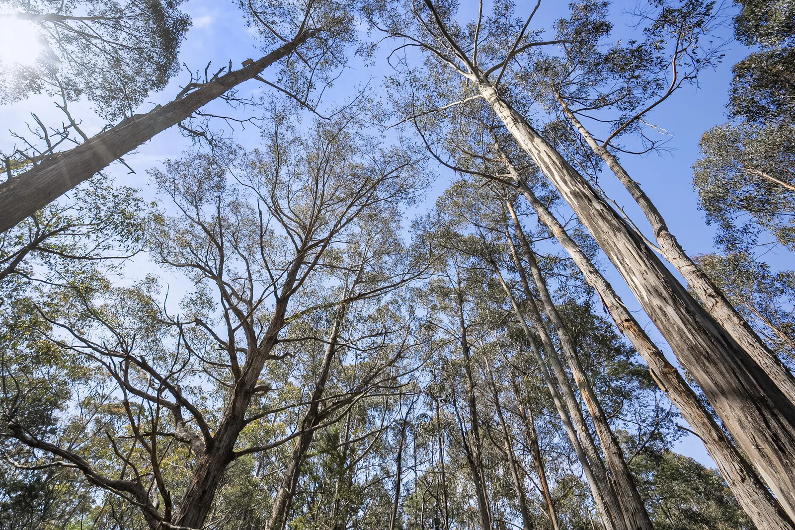 Additional image 8 of 1 Huon Highway, Glendevie TAS 7109