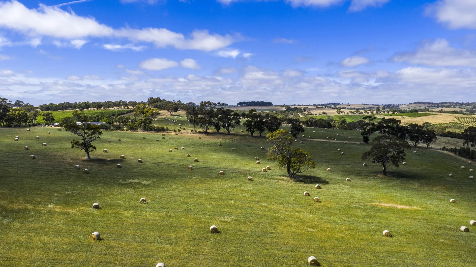 Additional image 9 of 178 Jutland Road, Springton SA 5235