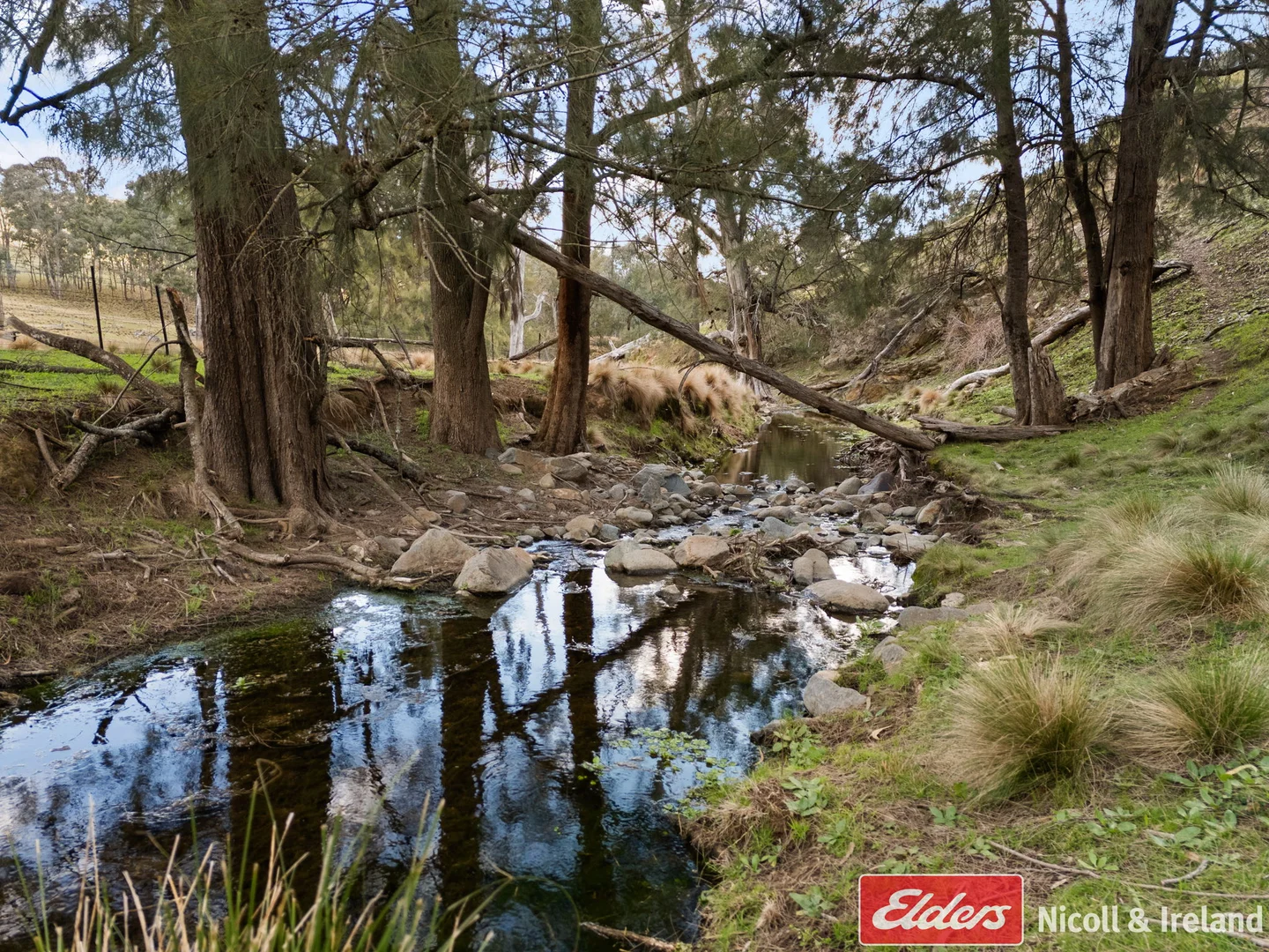Additional image 9 of 6843 Goulburn Road, Abercrombie River NSW 2795