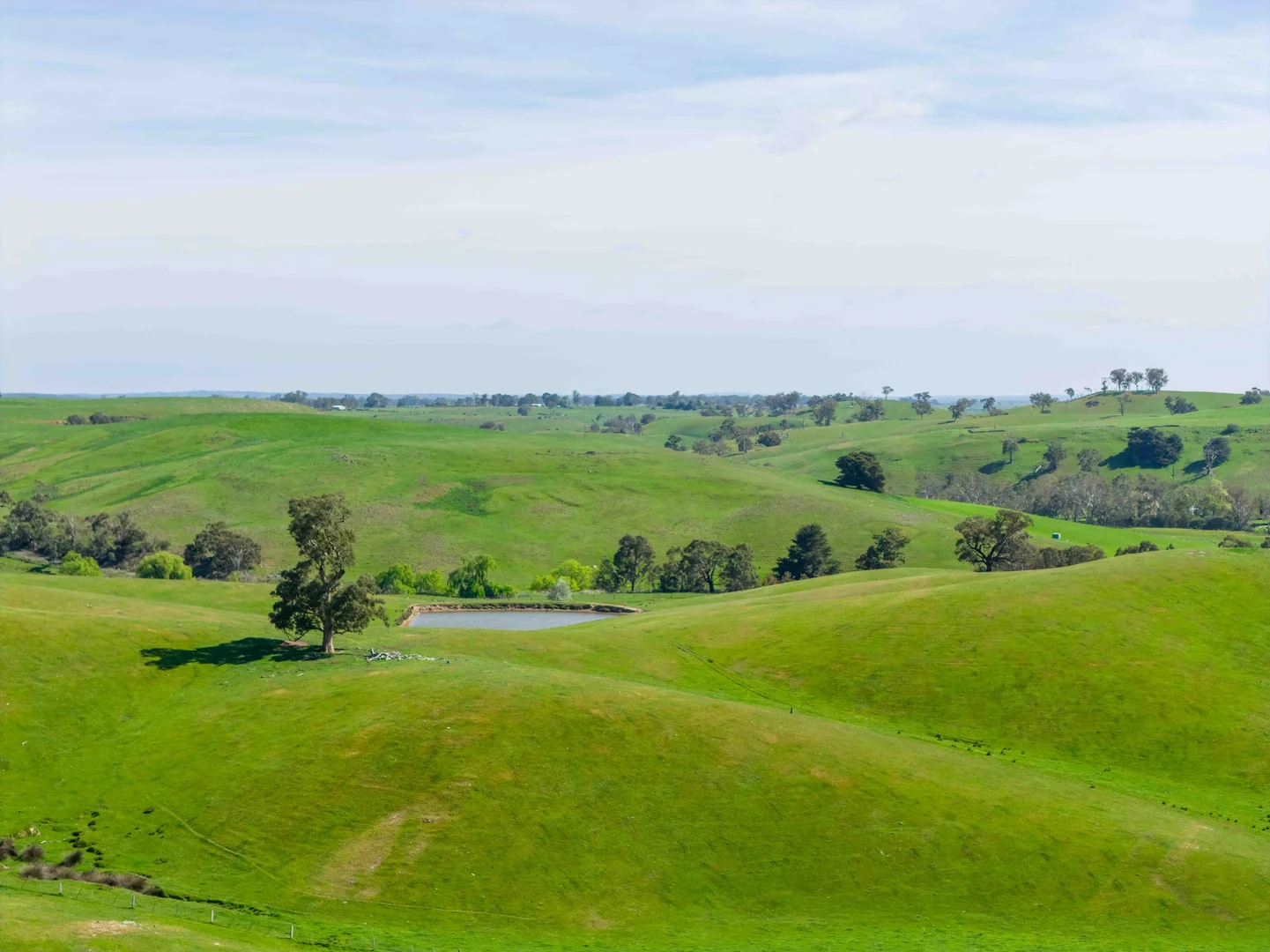 Additional image 3 of 362 Watchbox Road, Barfold VIC 3444