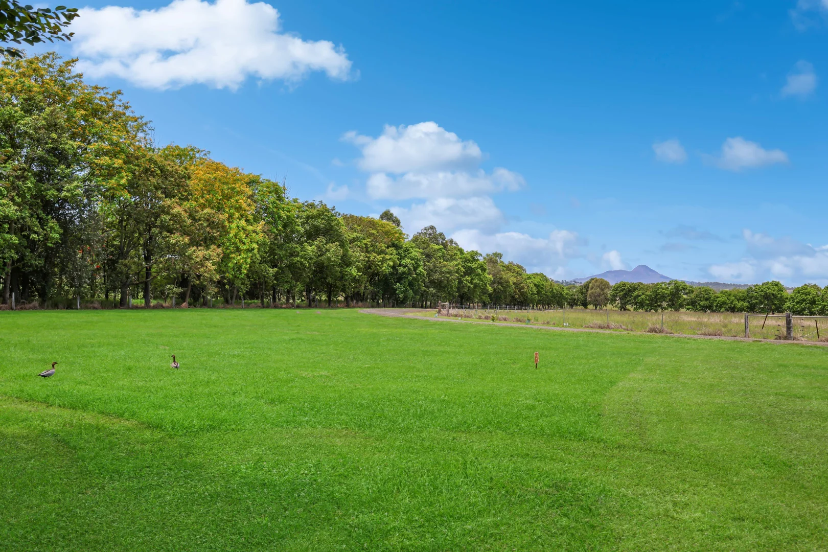 Additional image 30 of 178 Dunns Avenue, Harrisville QLD 4307