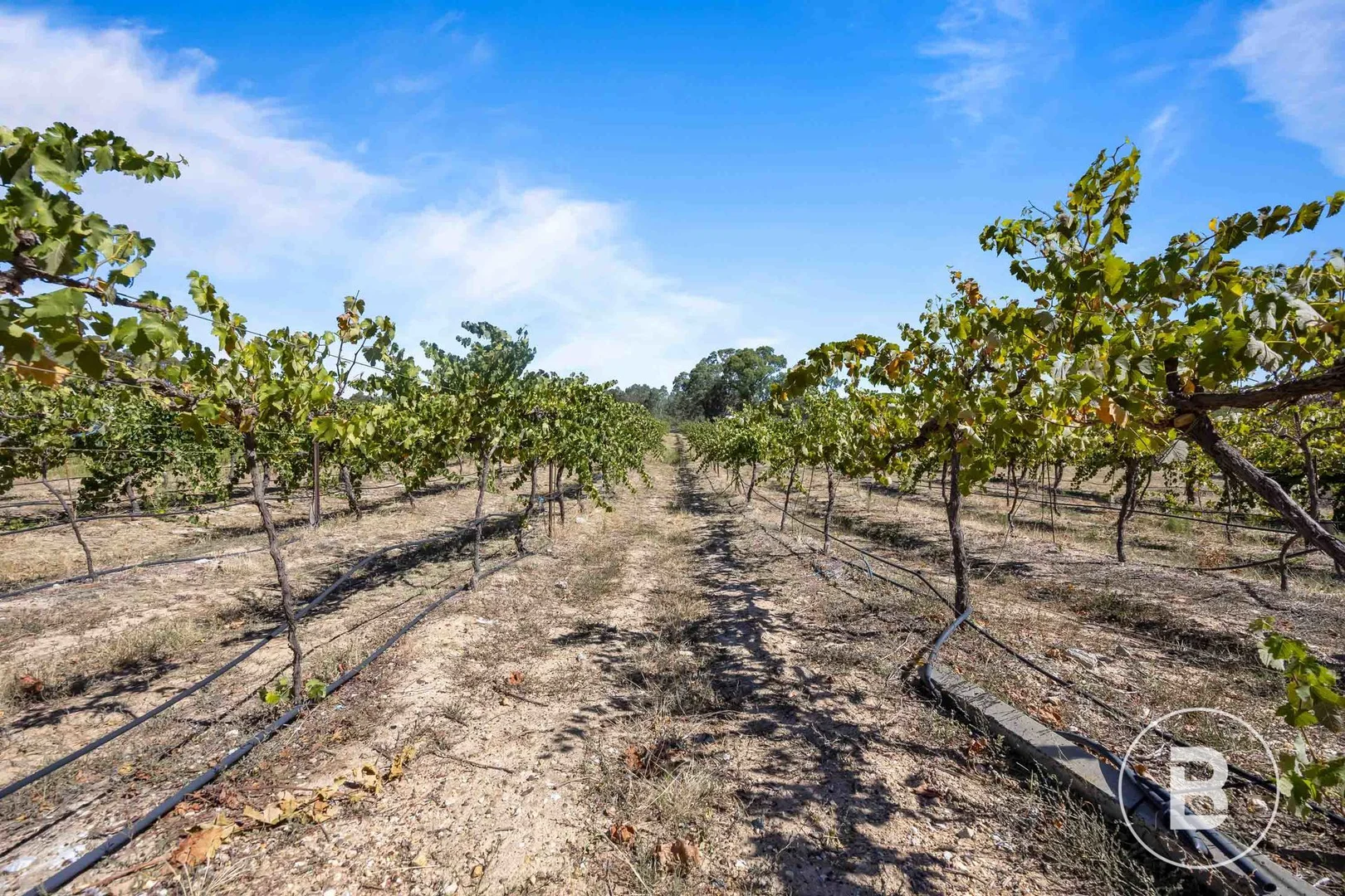 Additional image 32 of 2444 Ararat - St Arnaud Road, Landsborough VIC 3384