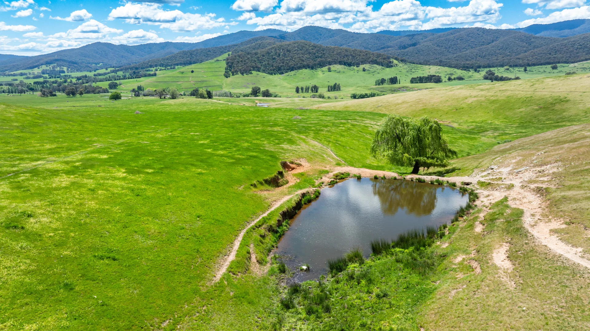 Additional image 8 of 'Grassmere'/2485 Tallangatta Creek Rd, Tallangatta Valley VIC 3701