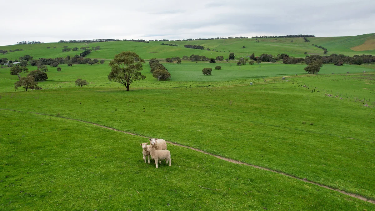 Additional image 30 of 649 Coleraine - Balmoral Road, Wootong Vale VIC 3315