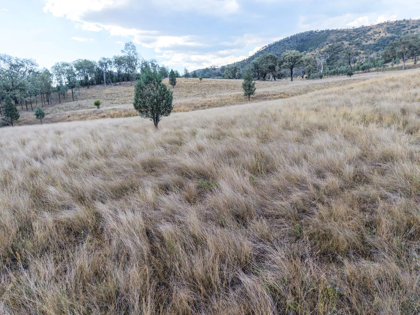 Additional image 6 of Lot 21 Gibraltar Road, Tenterfield NSW 2372