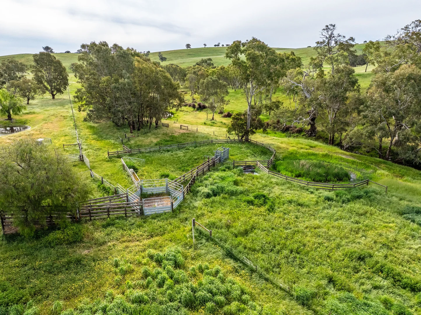 Additional image 7 of 312 Collins Road, Tungkillo SA 5236