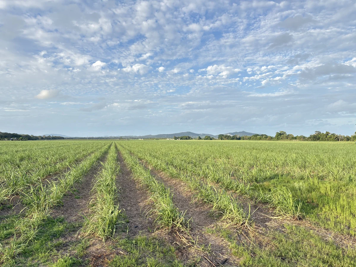 Additional image 6 of 2 Sievers Road, Oakenden QLD 4741