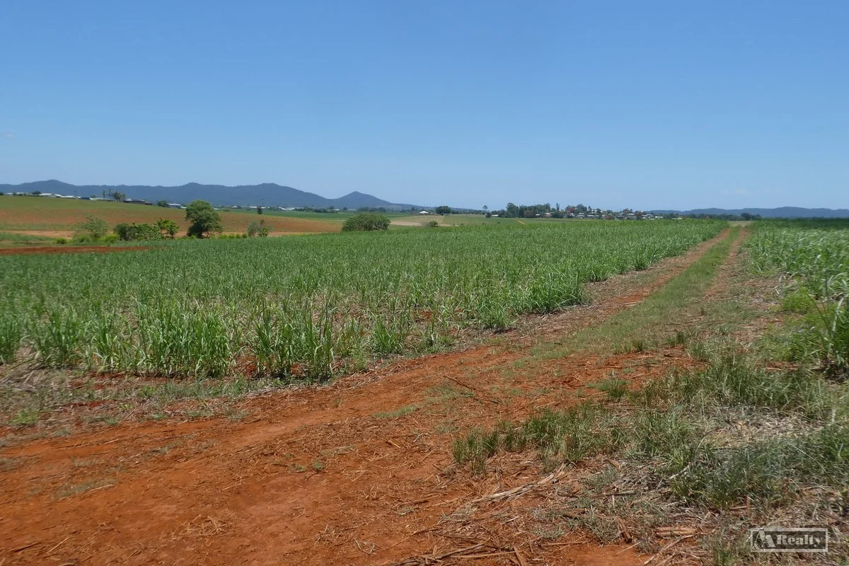 Additional image 11 of Belvedere QLD 4860