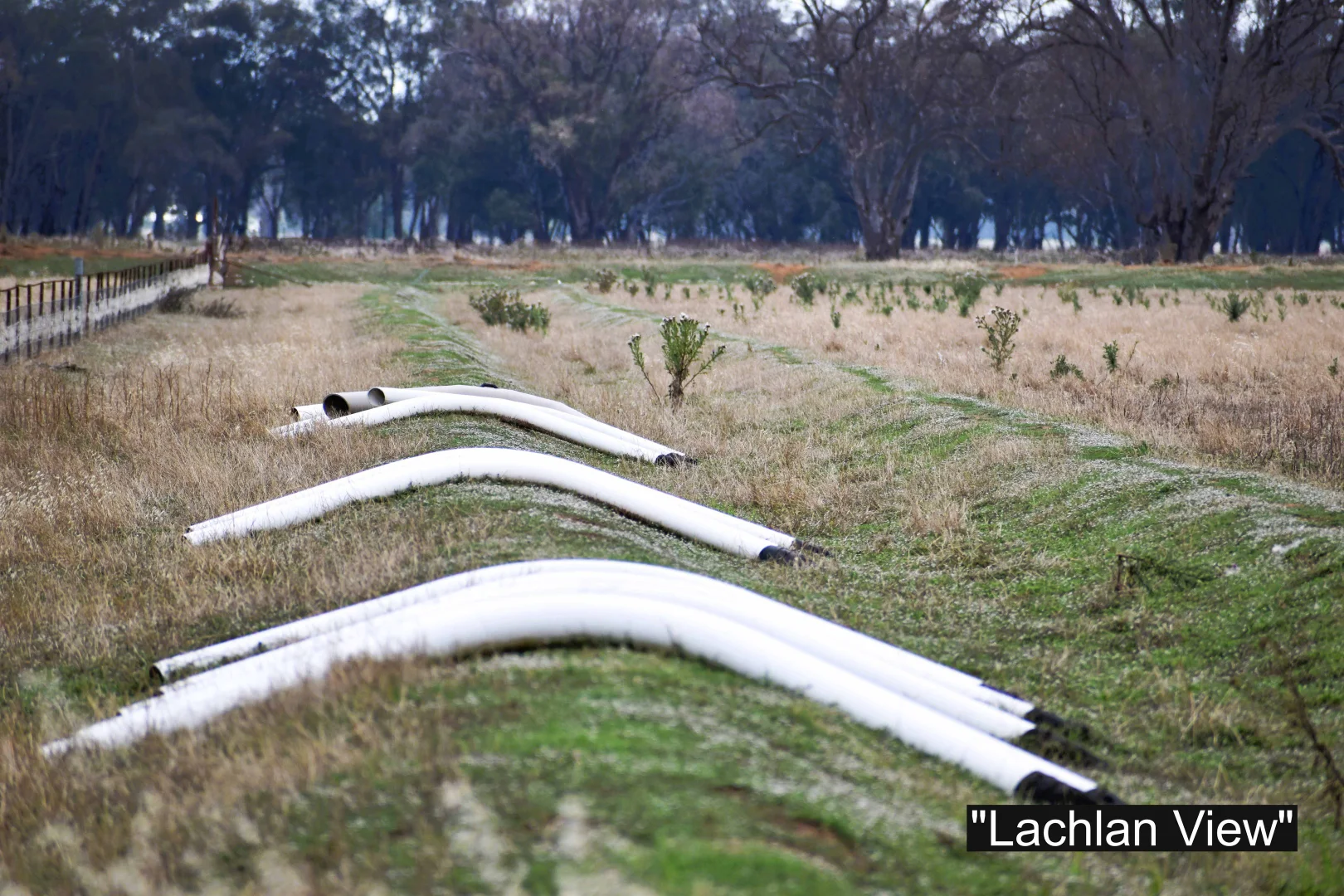 Additional image 22 of 01 Bedgerabong Road, Forbes NSW 2871