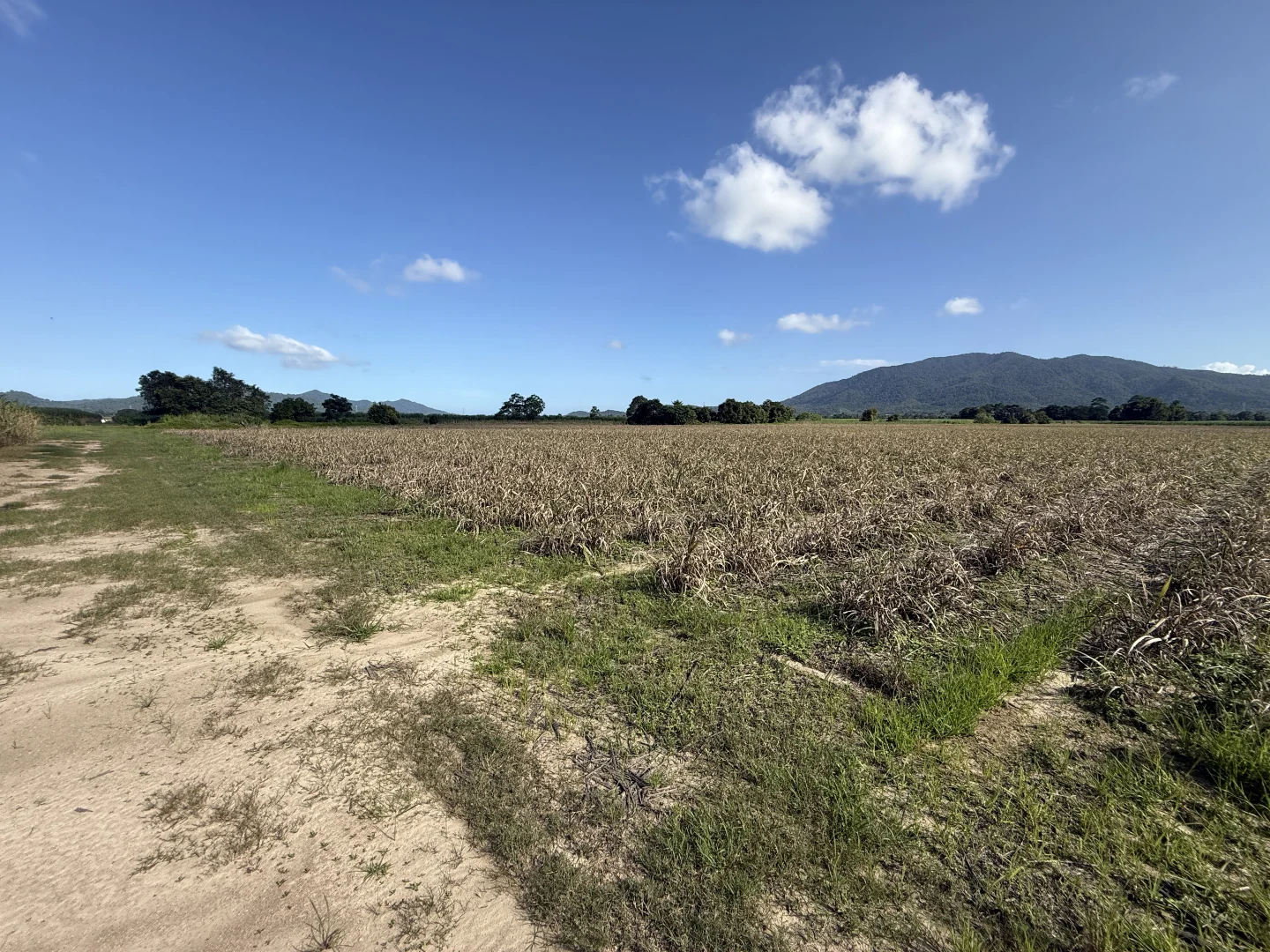 Additional image 16 of Midgenoo QLD 4854