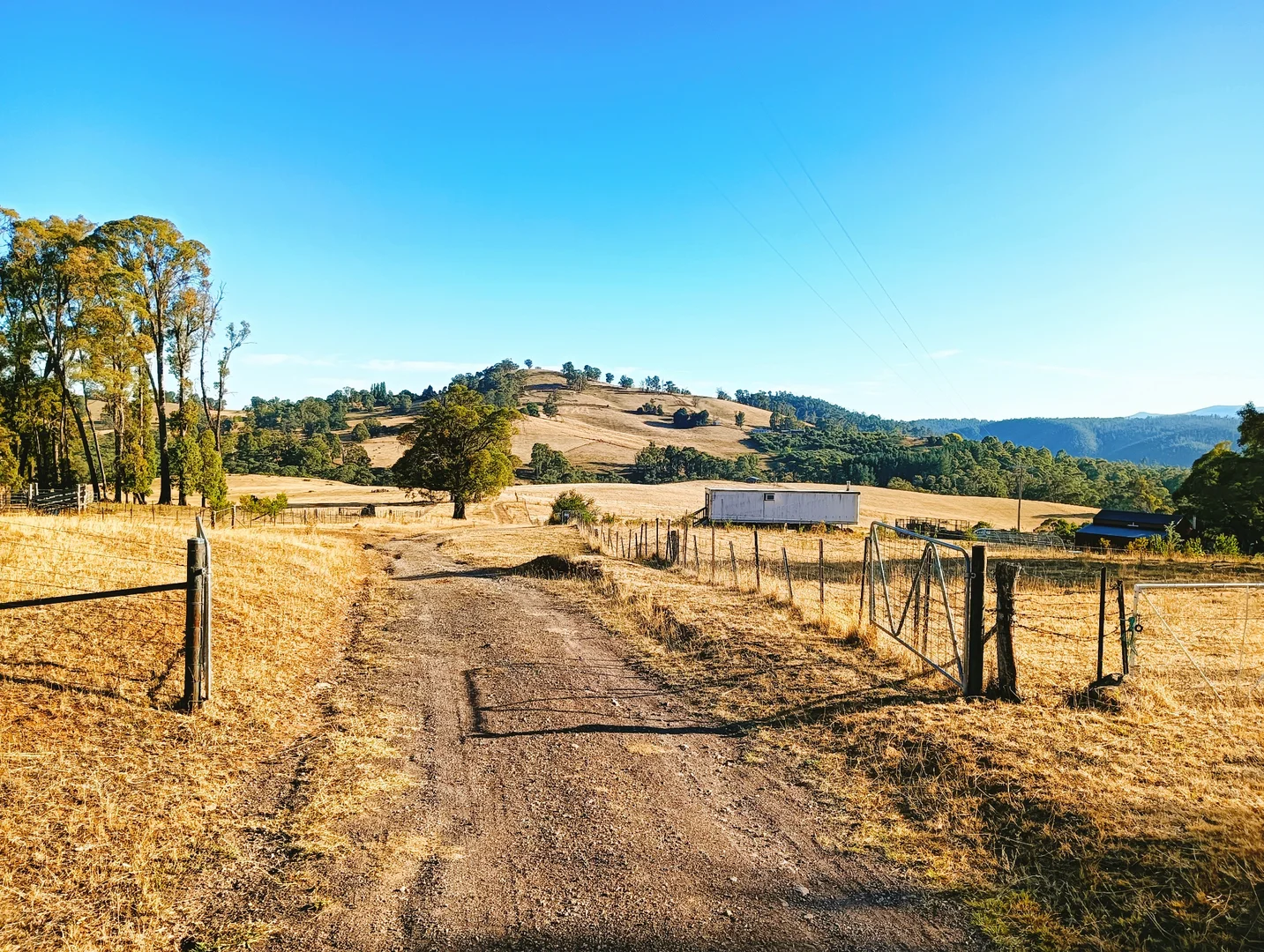 Additional image 27 of 160 Keenans Road, Batlow NSW 2730