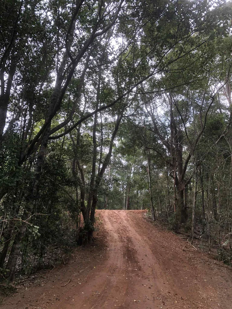 Additional image 3 of Uki NSW 2484