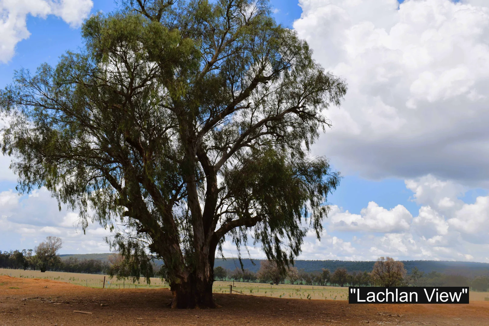 Additional image 27 of 01 Bedgerabong Road, Forbes NSW 2871