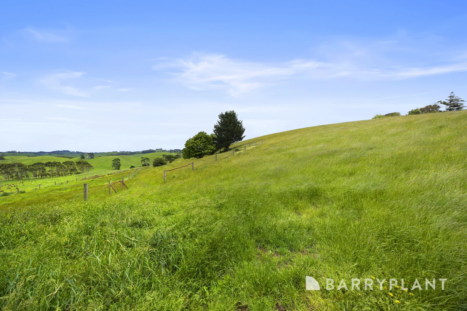 Additional image 18 of 220 Ross And Witherdens Road, Strzelecki VIC 3950