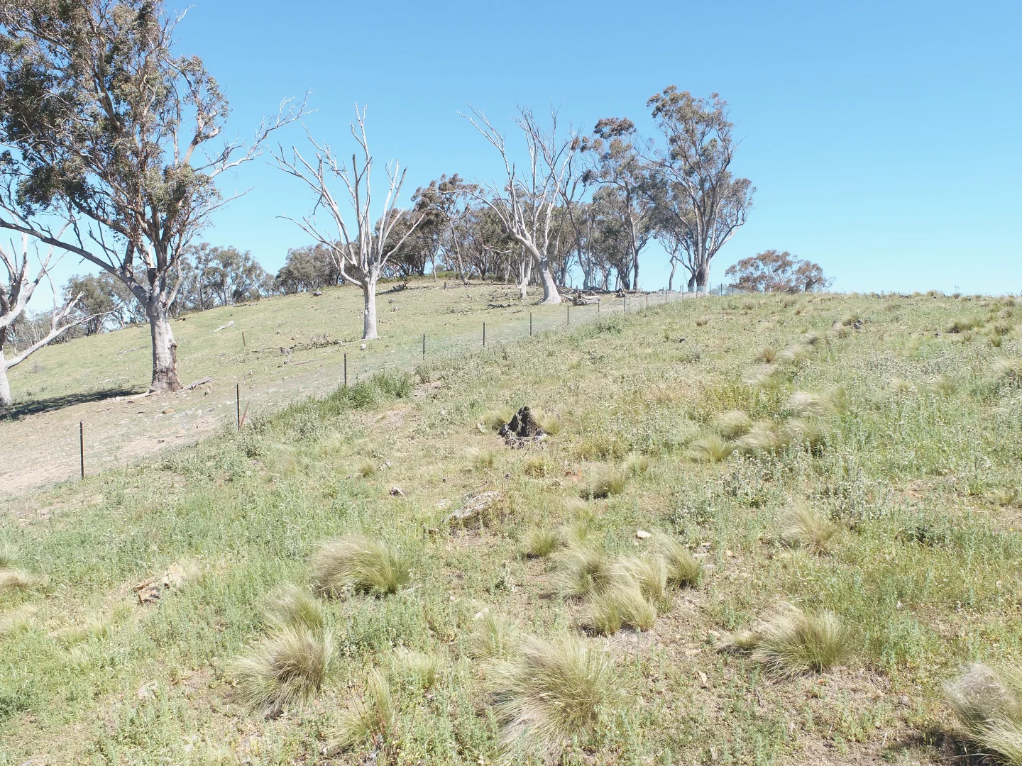 Additional image 9 of 1092 Gowan Road, Lower Lewis Ponds NSW 2800