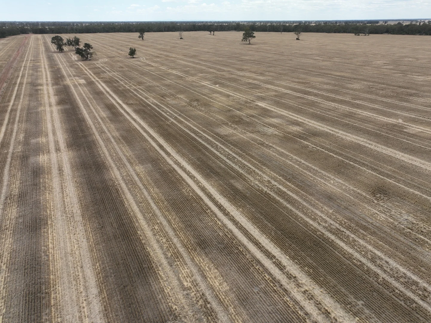 Additional image 25 of 'The Pines' 211 Dicks Camp Road, Collie NSW 2827