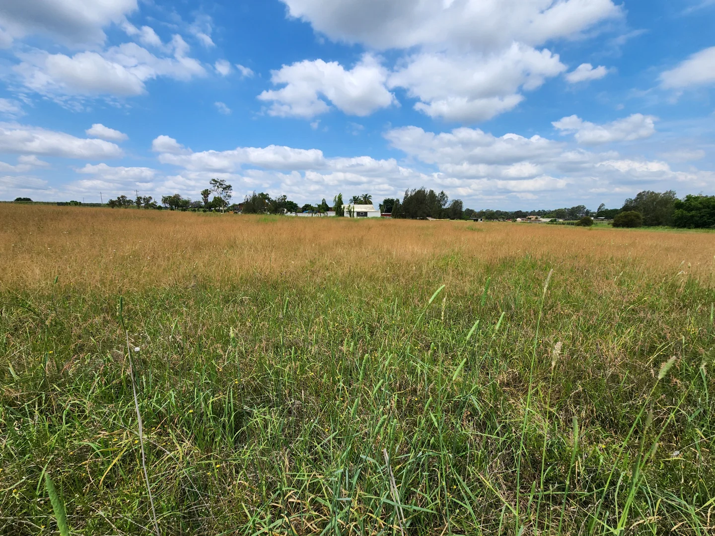 Additional image 12 of 130 Kelvin Park Drive, Bradfield NSW 2556