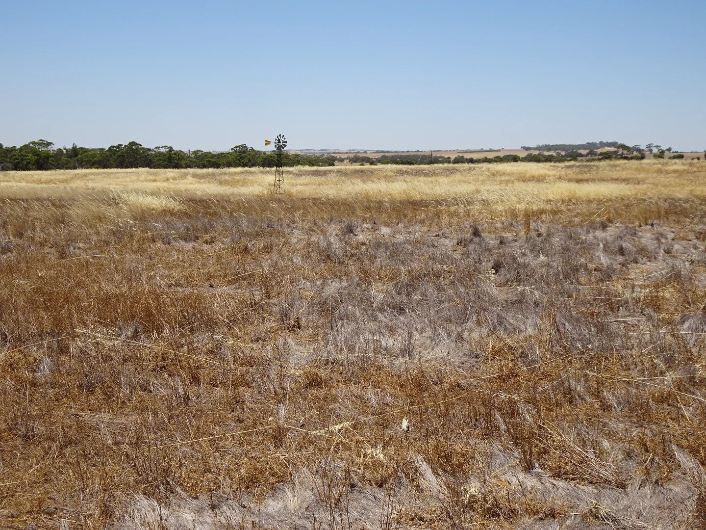 Additional image 17 of 160 Chittleborough Road, Brookton WA 6306