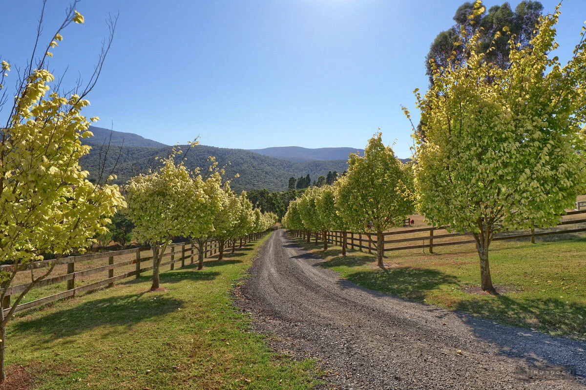 Additional image 28 of 159 Cunninghams Road, Chum Creek VIC 3777