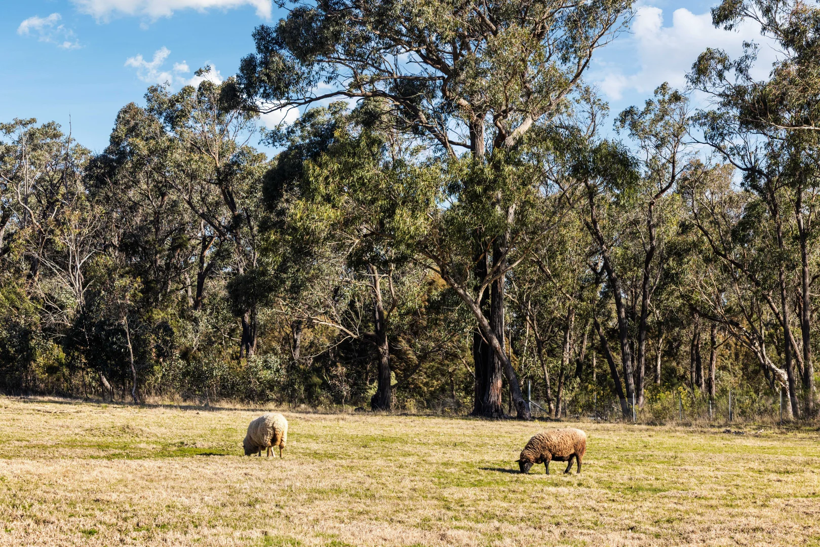 Additional image 32 of 8 Prairie Oak Road, Marulan NSW 2579