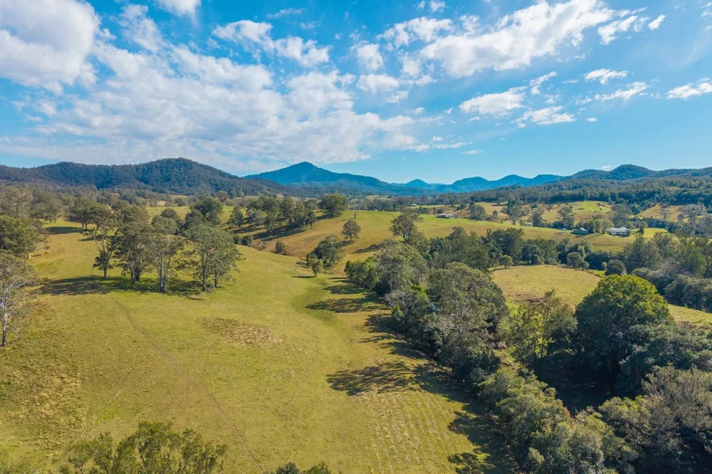 Additional image 5 of LOT 1 of 449 Hickeys Creek Road, Millbank NSW 2440