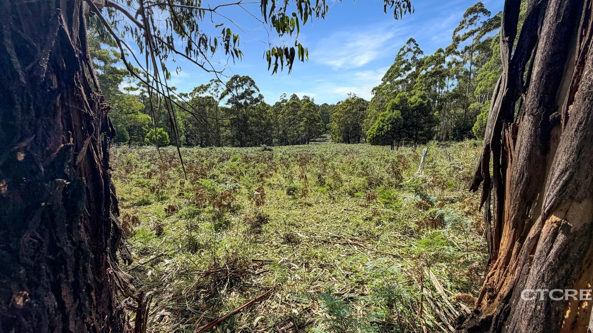 Additional image 13 of 12F & 12G Minchins Track, Bonang VIC 3888