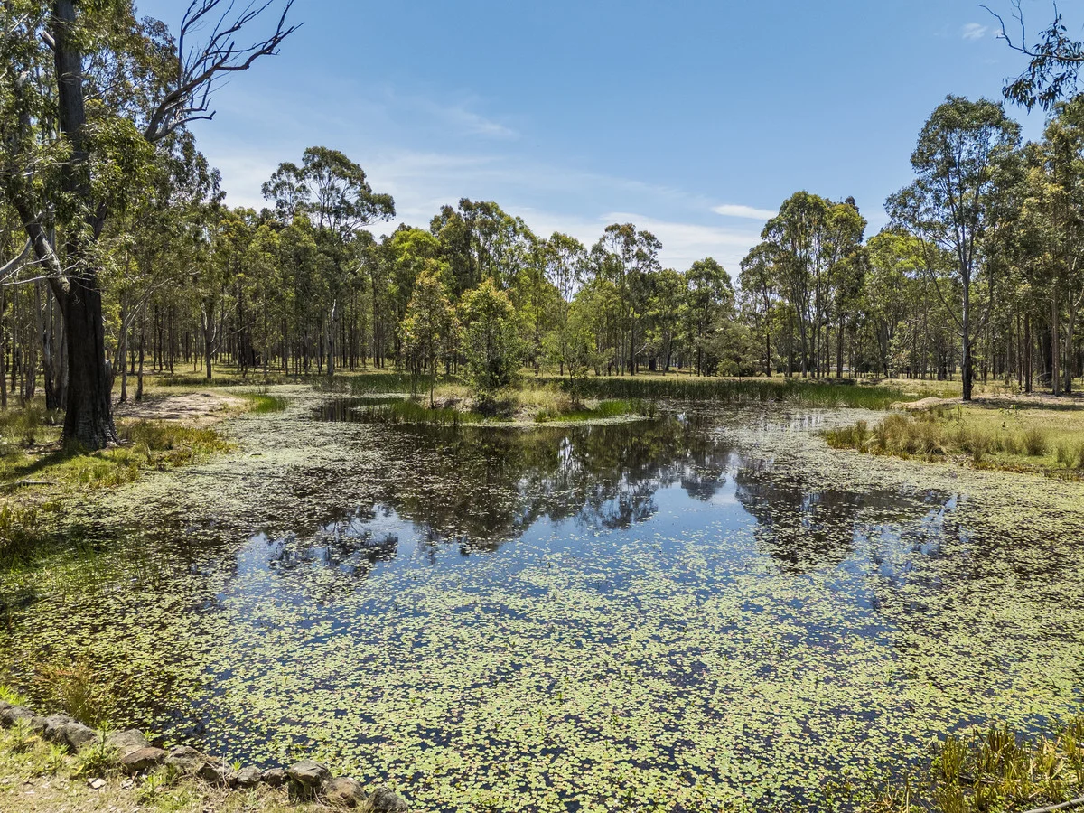 Additional image 11 of 1189 Sandy Creek Road, Quorrobolong NSW 2325