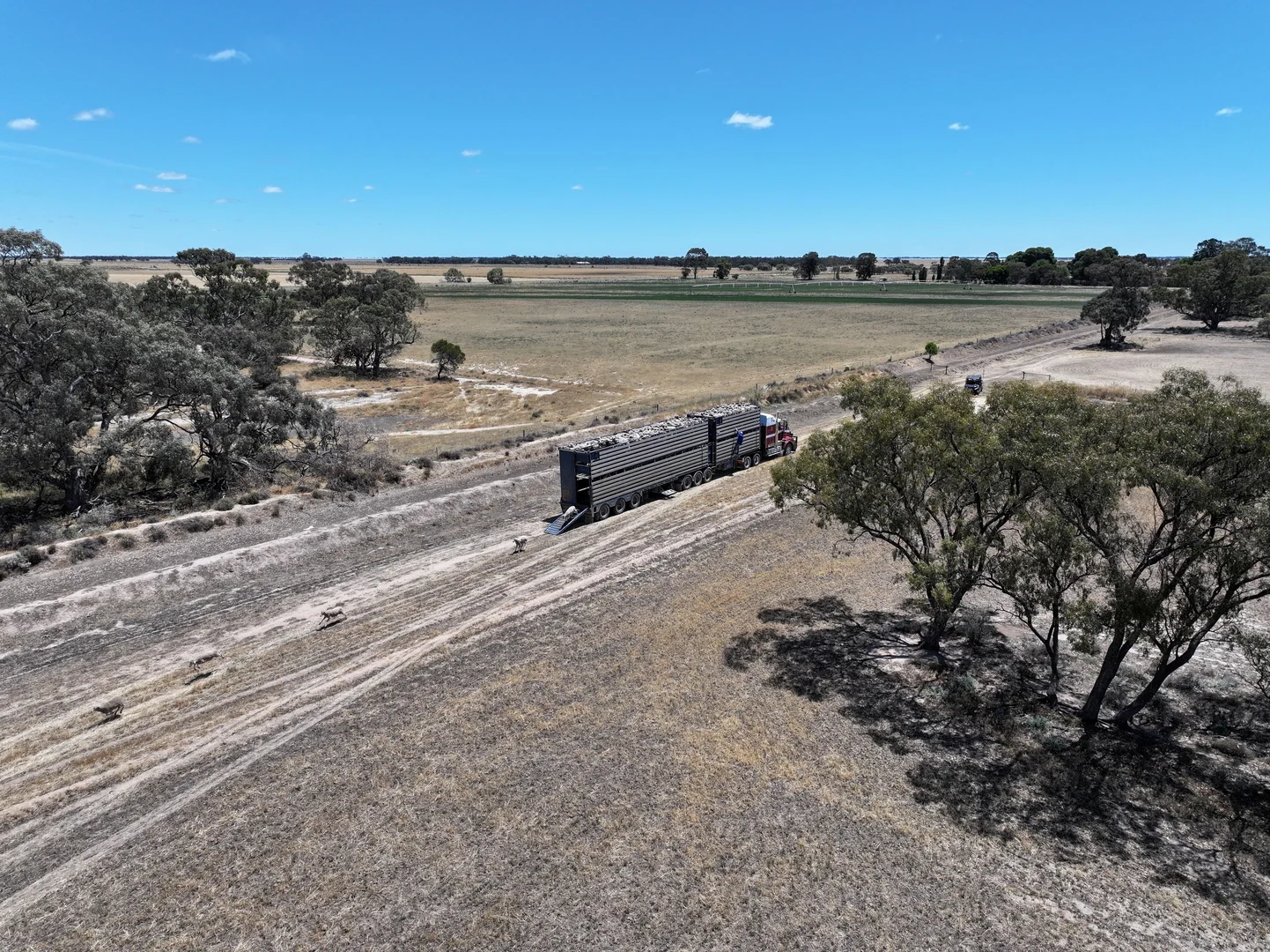 Additional image 25 of 300 Devon Road, Deniliquin NSW 2710