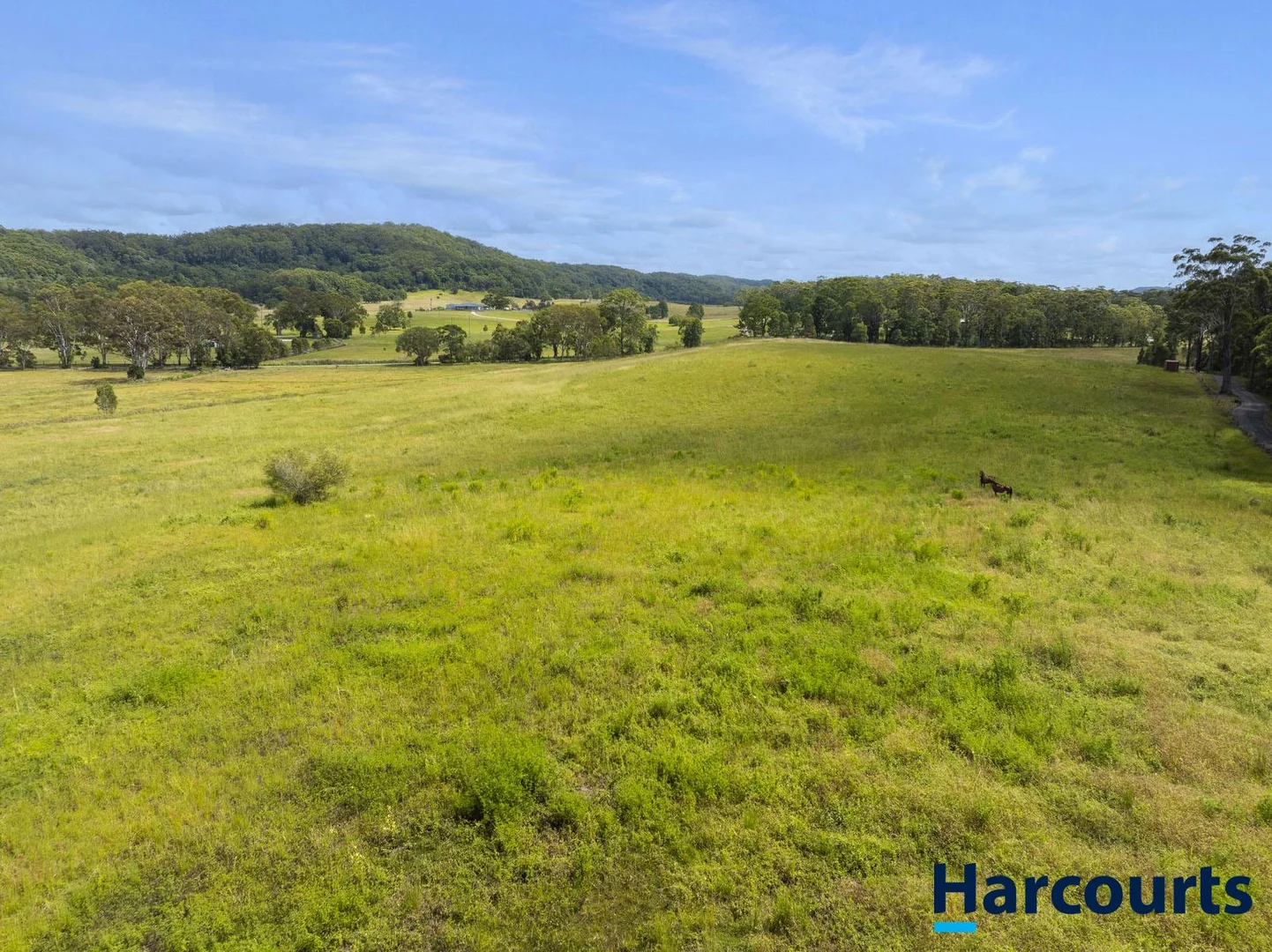 Additional image 67 of 406 Old Bagotville Road, Bagotville NSW 2477