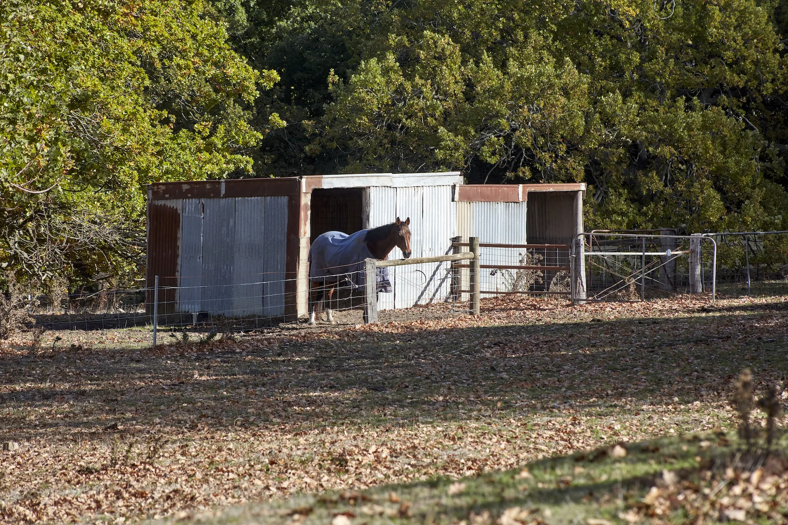 Additional image 12 of 171 Ross Watt Road, Gisborne VIC 3437