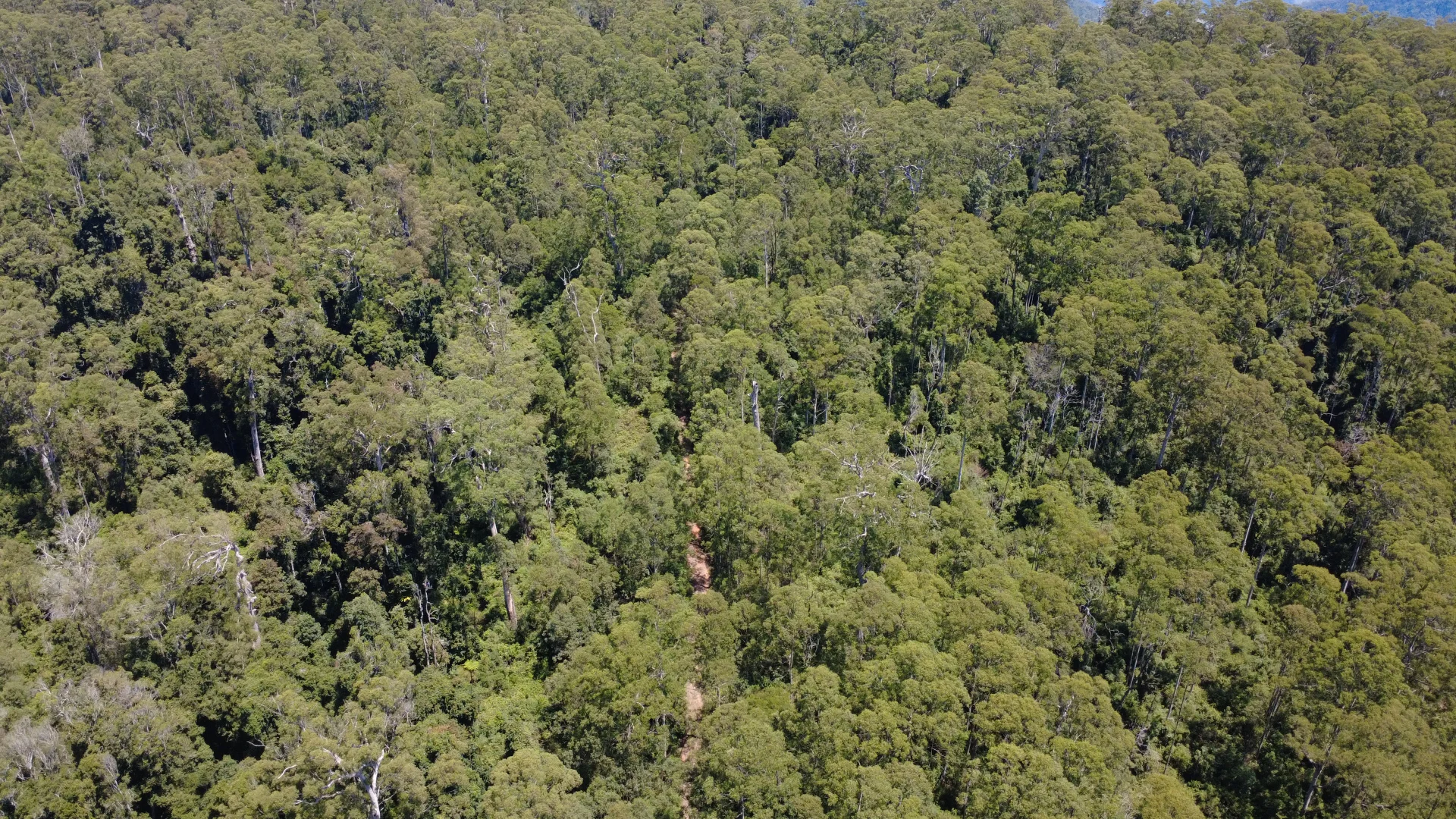 Additional image 15 of Baxters Ridge Road, Gloucester NSW 2422