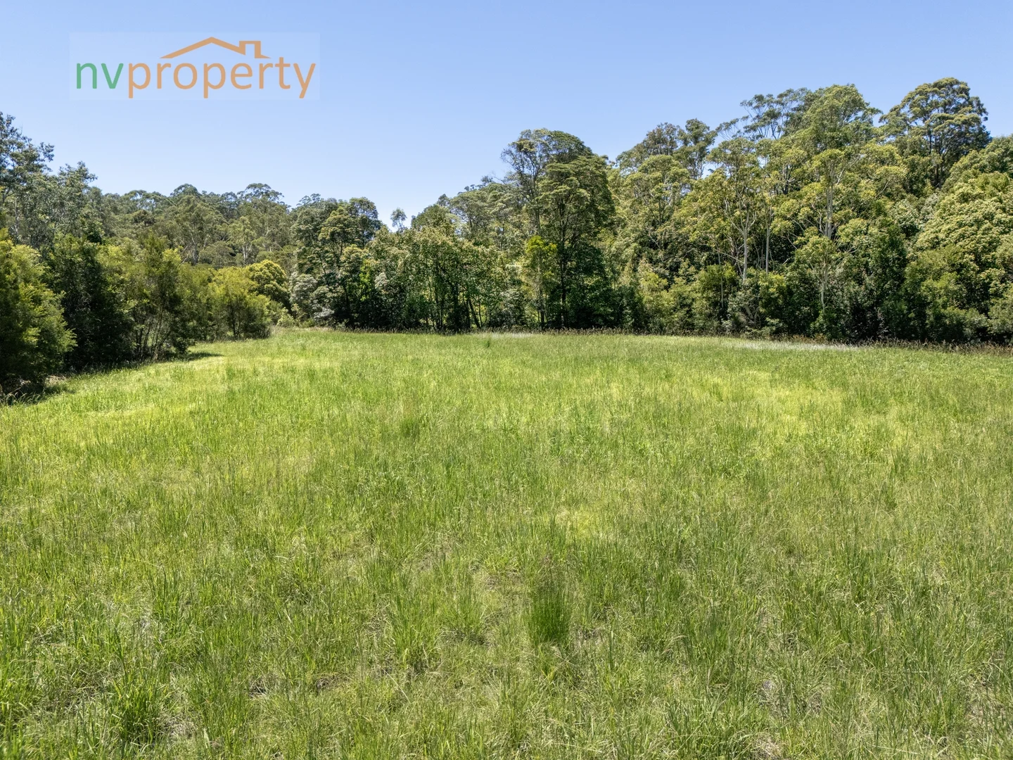 Additional image 3 of Lot 2 -14 Irvines Road, Newee Creek NSW 2447