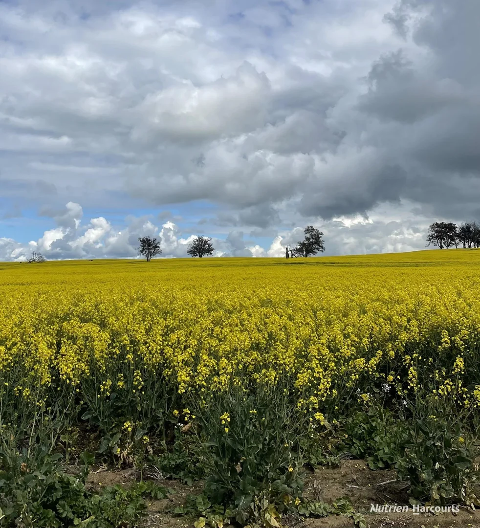 Additional image 2 of 175 Racecourse Road, Frankland River WA 6396