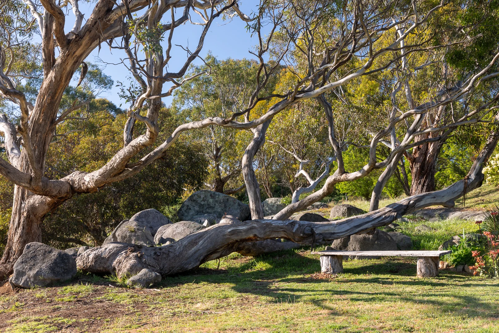 Additional image 30 of 373 Faraday-Sutton Grange Road, Sutton Grange VIC 3448