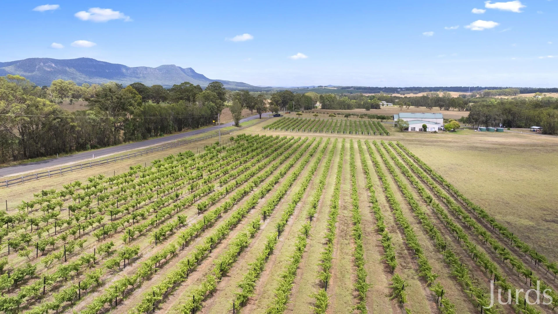 Additional image 8 of 223 Deasys Road, Pokolbin NSW 2320