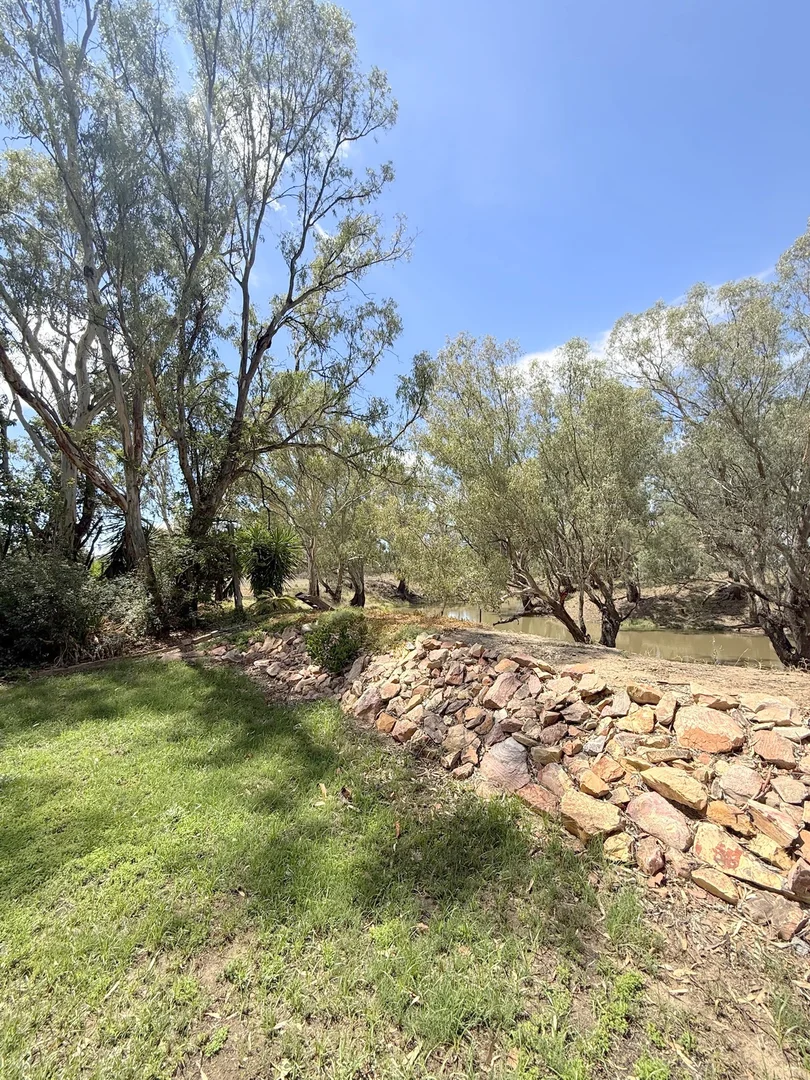 Additional image 62 of 506 North Forbes Rd, Condobolin NSW 2877