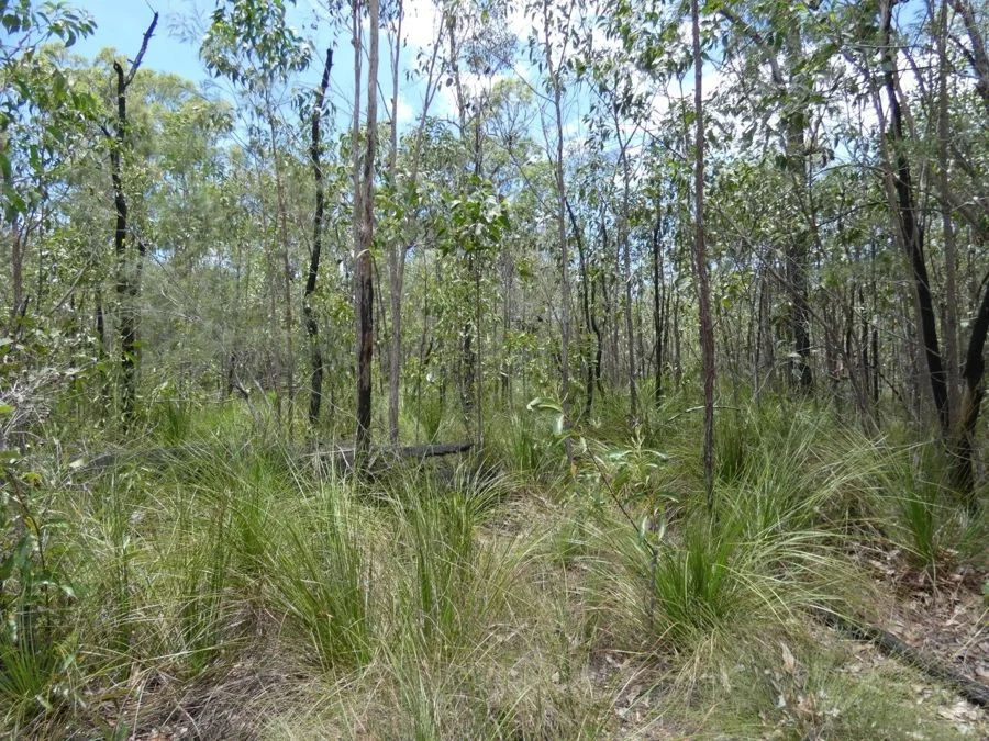 Additional image 15 of 668 Matchbox Road, Deepwater QLD 4674