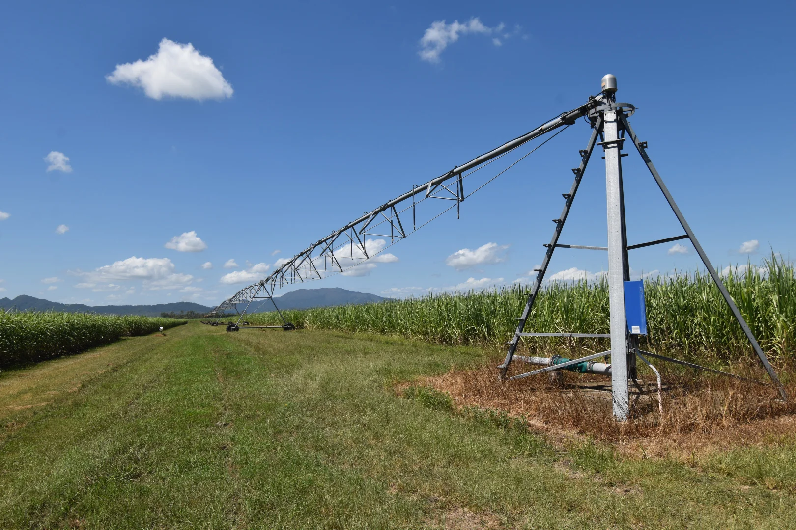 Additional image 13 of 2143 Mackay Eungella Road, Mirani QLD 4754