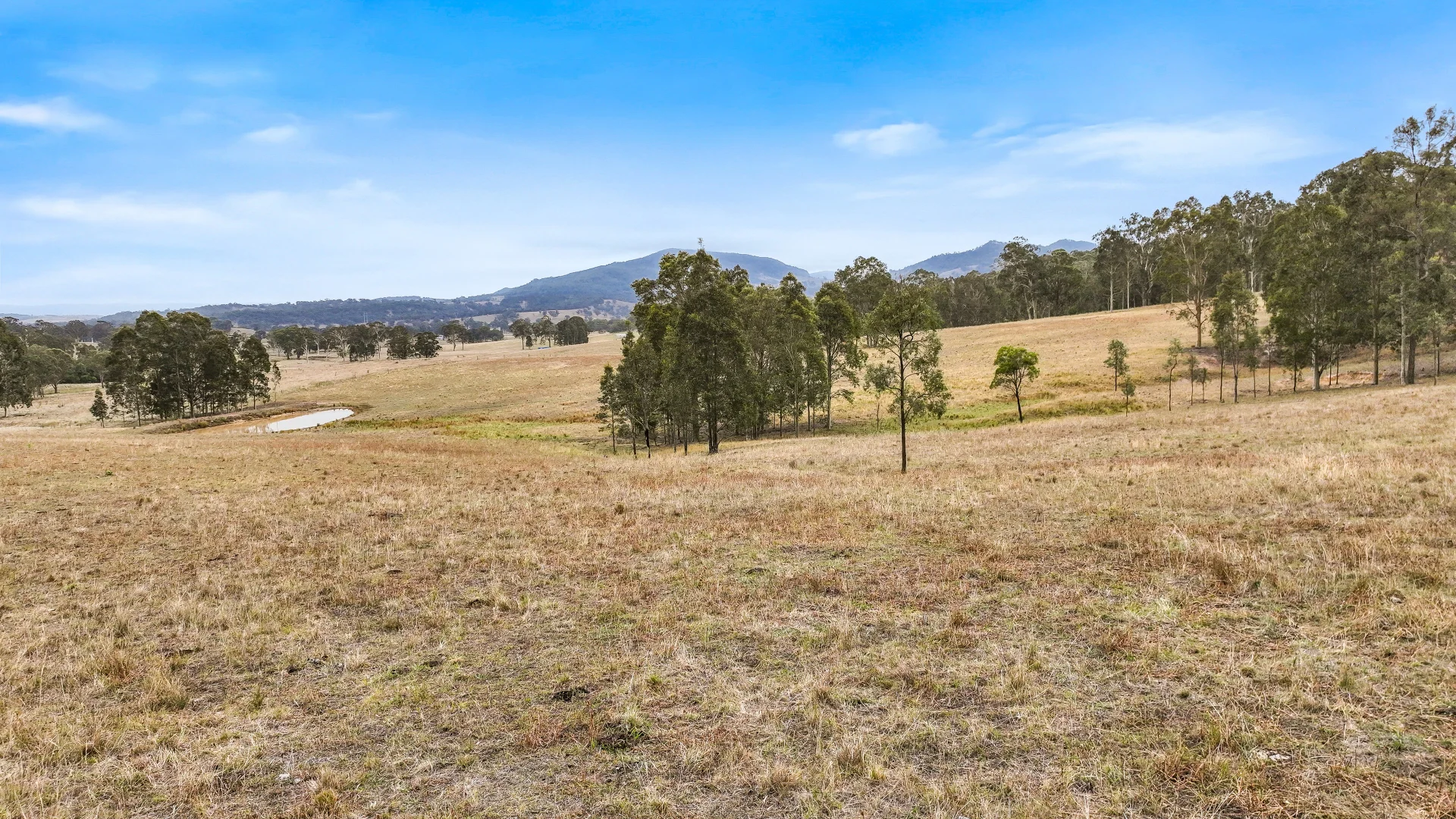 Additional image 8 of 190 Beggary Creek Road, Muscle Creek NSW 2333