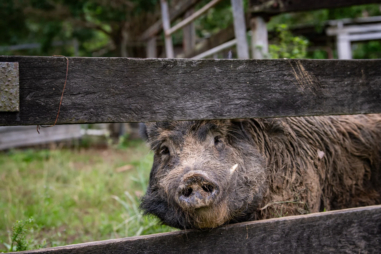 Additional image 23 of 122 Patullo Road, Gregory River QLD 4800