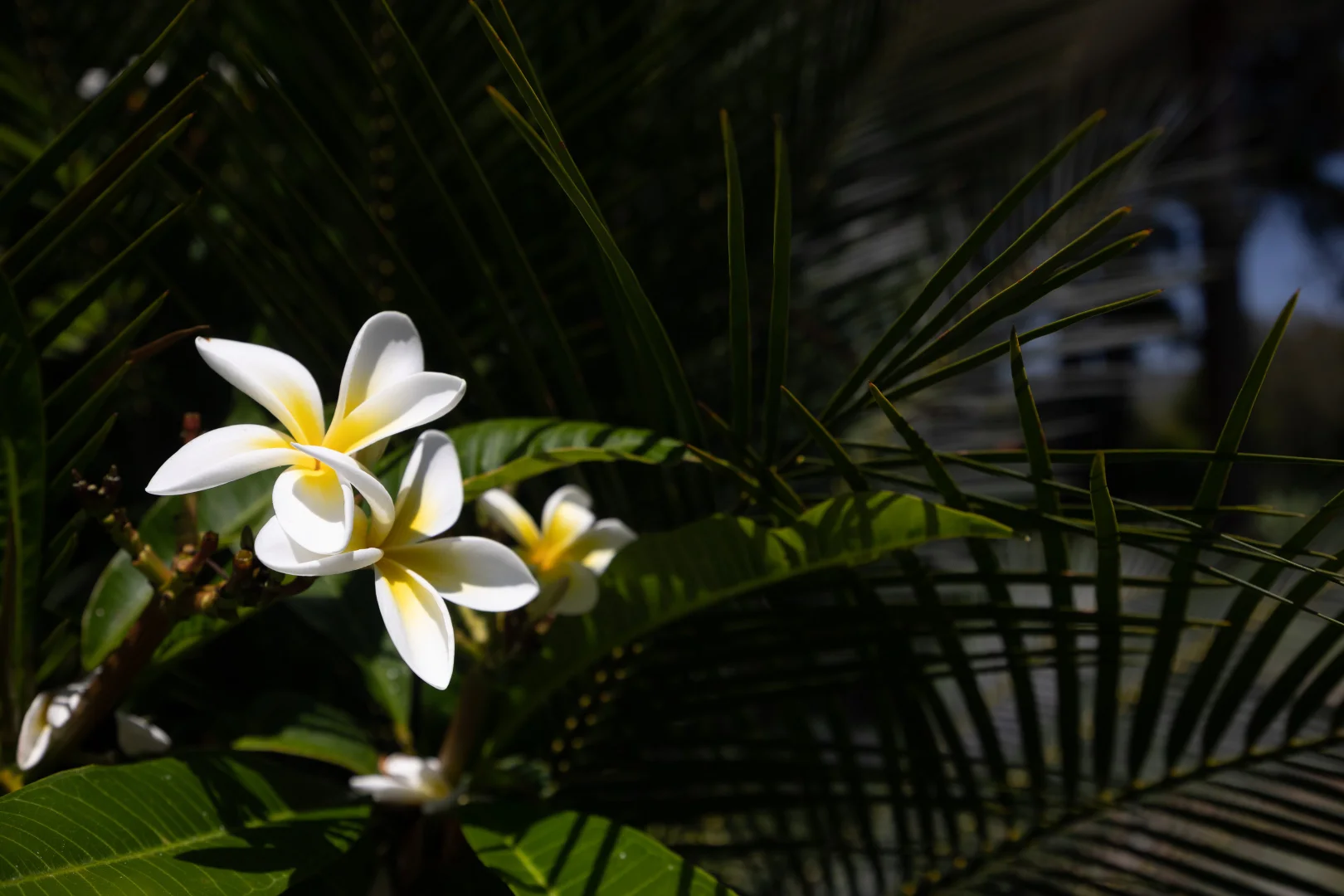 Additional image 24 of 126 Malibu Drive, Bawley Point NSW 2539